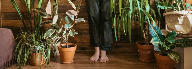 Breathe cleaner air in your home